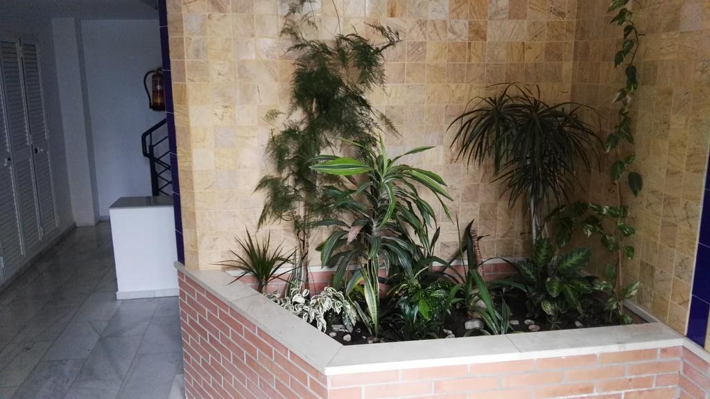 Apartament Fan Flat Eugenio (Adults Only) Malaga Zewnętrze zdjęcie